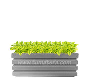 COMBO JARDINERA 100 X 45 CM CON DURANTAS - Tumatera.co