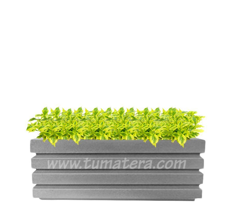 COMBO JARDINERA 100 X 45 CM CON DURANTAS - Tumatera.co