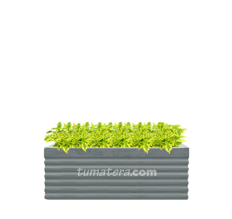 COMBO JARDINERA CEMENTO 90 CM CON DURANTAS - Tumatera.co