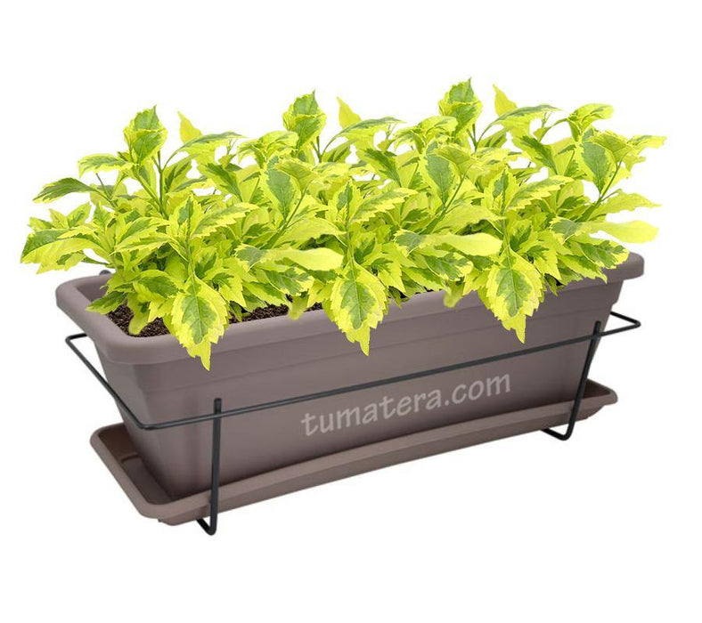 COMBO VENEZA BALCÓN 50 CM CON DURANTAS - Tumatera.co