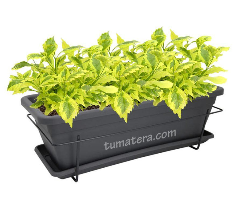 COMBO VENEZA BALCÓN 50 CM CON DURANTAS - Tumatera.co