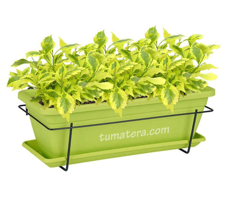 COMBO VENEZA BALCÓN 50 CM CON DURANTAS - Tumatera.co