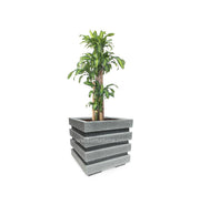 COMBO CUBO 48 CM CON PALO BRASIL - Tumatera.co