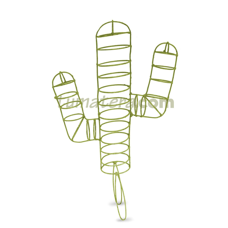 ESTRUCTURA TOPIARIO CACTUS 25 CM - Tumatera.co