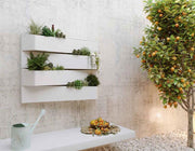 Jardín Vertical Wonderwall colgada