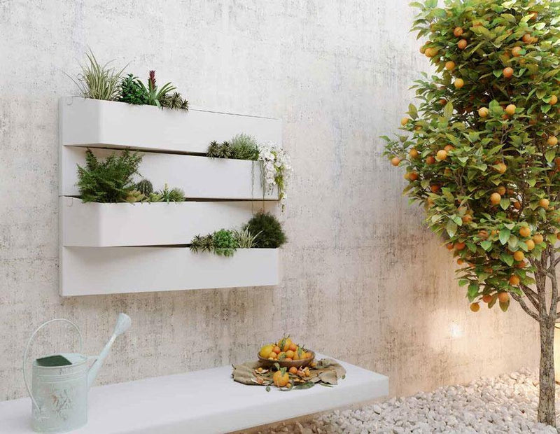 Jardín Vertical Wonderwall colgada