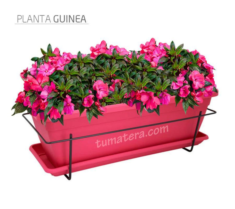 COMBO VENEZA BALCÓN 50 CM CON FLORES - Tumatera.co