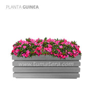 COMBO JARDINERA 100 X 45 CM CON FLORES - Tumatera.co