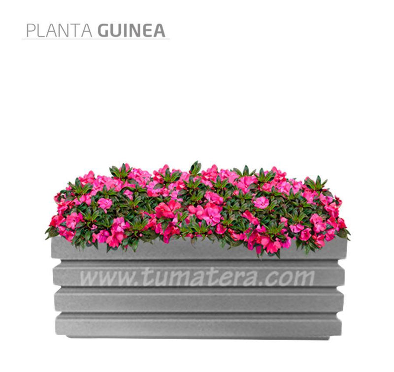 COMBO JARDINERA 100 X 45 CM CON FLORES - Tumatera.co