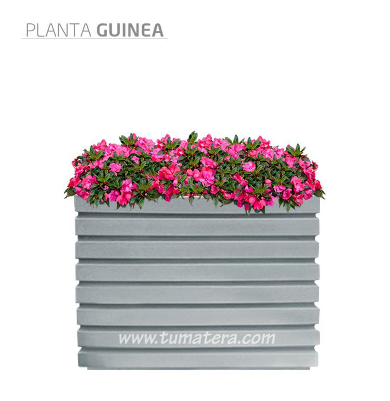 COMBO JARDINERA 100 X 60 CM CON FLORES - Tumatera.co