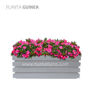 COMBO JARDINERA 100 X 45 CM CON FLORES - Tumatera.co