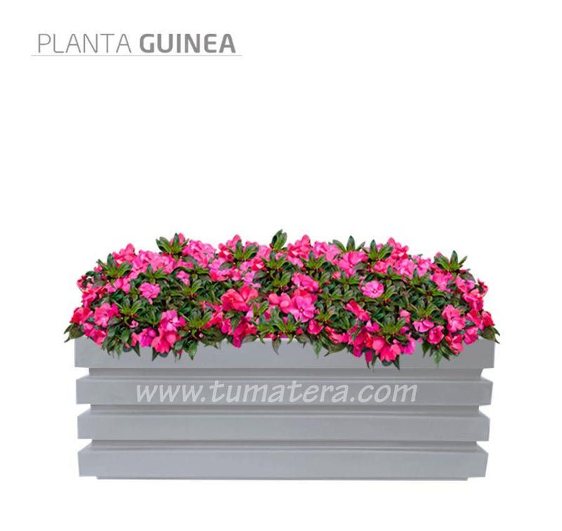 COMBO JARDINERA 100 X 45 CM CON FLORES - Tumatera.co