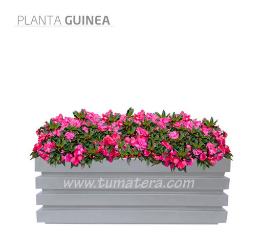 COMBO JARDINERA 100 X 45 CM CON FLORES - Tumatera.co