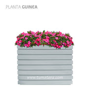 COMBO JARDINERA 100 X 60 CM CON FLORES - Tumatera.co