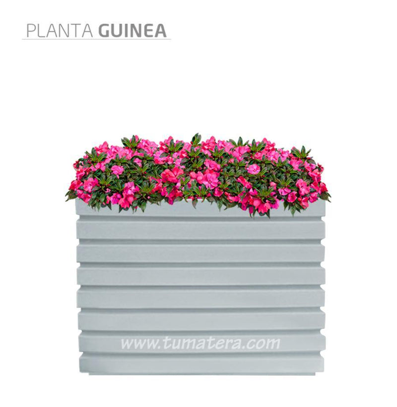 COMBO JARDINERA 100 X 60 CM CON FLORES - Tumatera.co