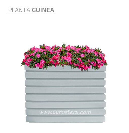 COMBO JARDINERA 100 X 60 CM CON FLORES - Tumatera.co