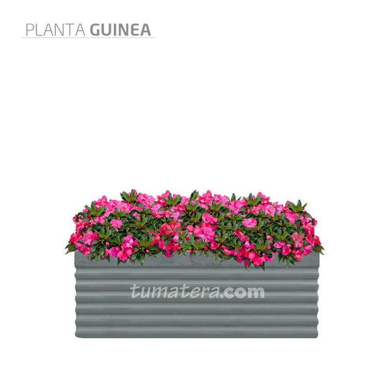 COMBO JARDINERA CEMENTO 90 CM CON FLORES - Tumatera.co