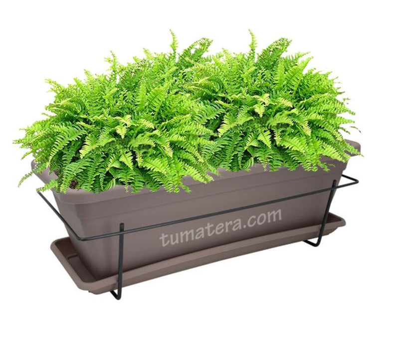 COMBO VENEZA BALCÓN 50 CM CON HELECHOS - Tumatera.co