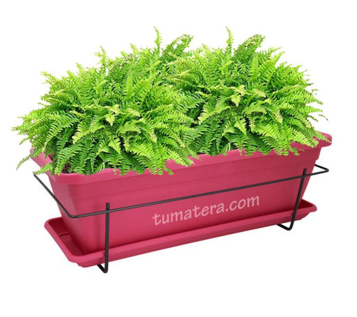 COMBO VENEZA BALCÓN 50 CM CON HELECHOS - Tumatera.co