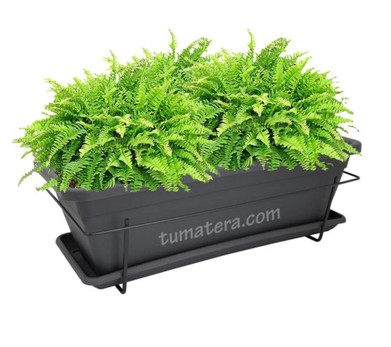 COMBO VENEZA BALCÓN 50 CM CON HELECHOS - Tumatera.co