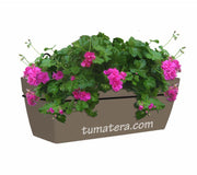 COMBO KIT CAPRI BALCÓN 50 CM CON GERANIUM PELARGOMIUN - Tumatera.co