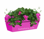 COMBO KIT CAPRI BALCÓN 50 CM CON GERANIUM PELARGOMIUN - Tumatera.co