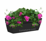 COMBO KIT CAPRI BALCÓN 50 CM CON GERANIUM PELARGOMIUN - Tumatera.co