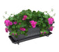 COMBO VENEZA BALCÓN 50 CM CON GERANIUM PELARGOMIUN - Tumatera.co