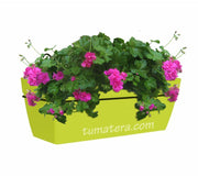 COMBO KIT CAPRI BALCÓN 50 CM CON GERANIUM PELARGOMIUN - Tumatera.co