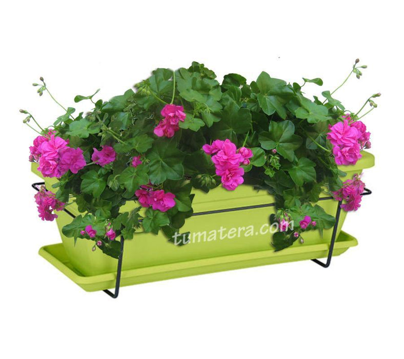 COMBO VENEZA BALCÓN 50 CM CON GERANIUM PELARGOMIUN - Tumatera.co
