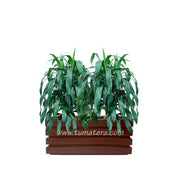 COMBO JARDINERA 70 CM CON JANET CRAIG - Tumatera.co
