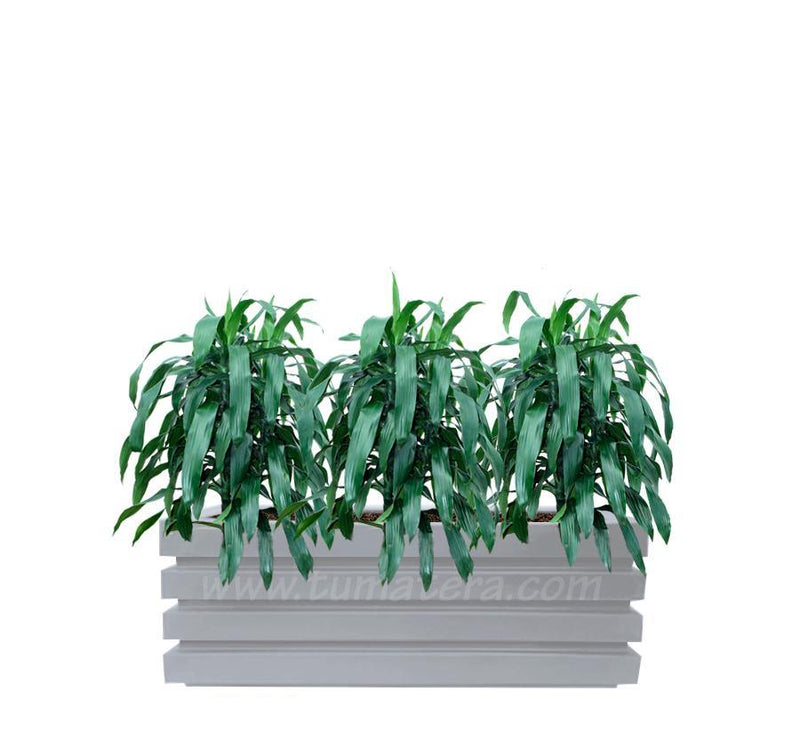 COMBO JARDINERA 90 CM CON JANET CRAIG - Tumatera.co