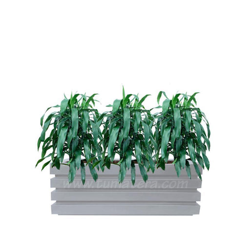 COMBO JARDINERA 90 CM CON JANET CRAIG - Tumatera.co