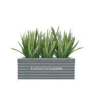 COMBO JARDINERA CEMENTO 90 CM CON LINOS - Tumatera.co