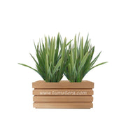 COMBO JARDINERA 70 CM CON LINOS - Tumatera.co