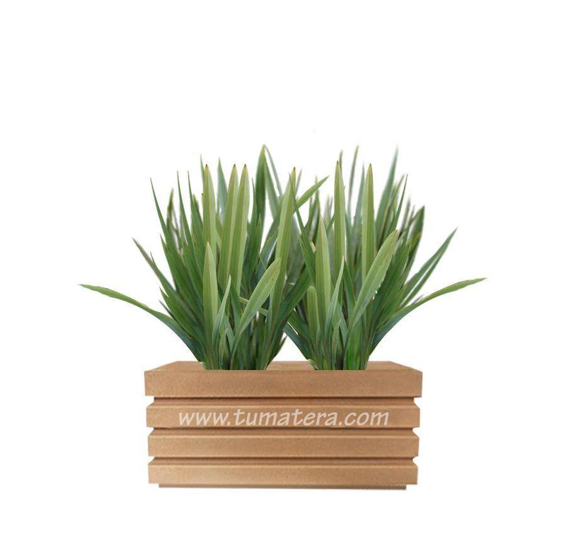 COMBO JARDINERA 70 CM CON LINOS - Tumatera.co