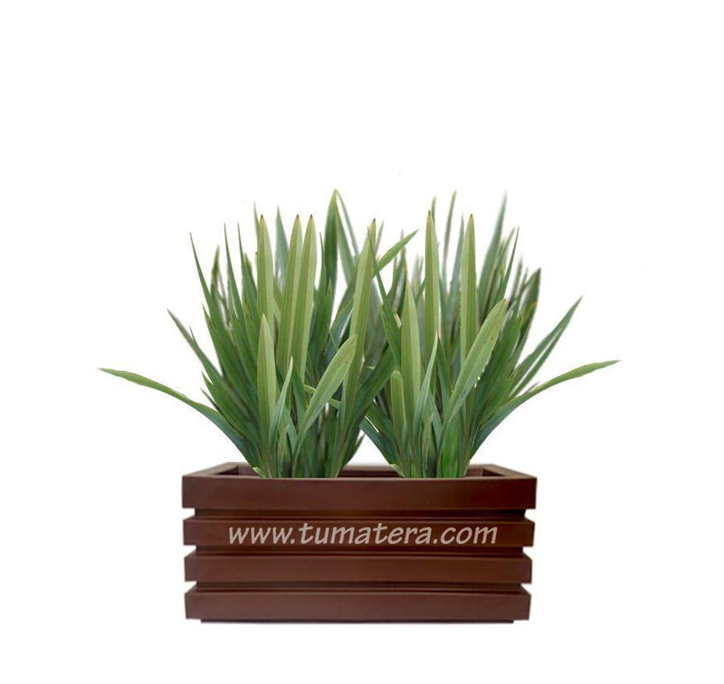 COMBO JARDINERA 70 CM CON LINOS - Tumatera.co