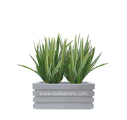 COMBO JARDINERA 70 CM CON LINOS - Tumatera.co
