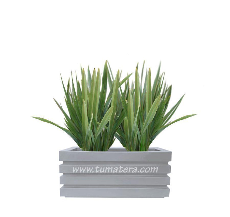 COMBO JARDINERA 70 CM CON LINOS - Tumatera.co