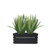 COMBO JARDINERA 70 CM CON LINOS - Tumatera.co