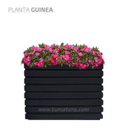 COMBO JARDINERA 100 X 60 CM CON FLORES - Tumatera.co