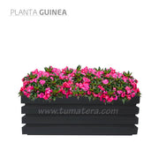 COMBO JARDINERA 100 X 45 CM CON FLORES - Tumatera.co
