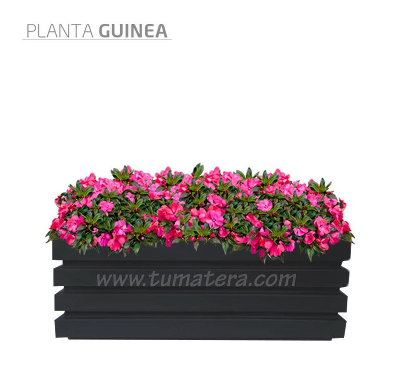COMBO JARDINERA 100 X 45 CM CON FLORES - Tumatera.co