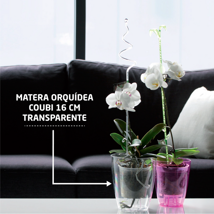Matera Orquídea Transparente de 16cm en uso con dos tipos de color