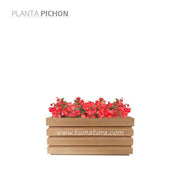 COMBO JARDINERA 70 CM CON FLORES - Tumatera.co