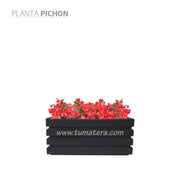 COMBO JARDINERA 70 CM CON FLORES - Tumatera.co