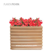 COMBO JARDINERA 100 X 60 CM CON FLORES - Tumatera.co