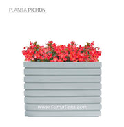 COMBO JARDINERA 100 X 60 CM CON FLORES - Tumatera.co