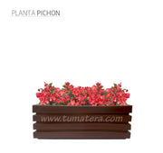 COMBO JARDINERA 90 CM CON FLORES - Tumatera.co