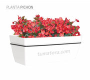 COMBO KIT CAPRI BALCÓN 50CM CON FLORES - Tumatera.co